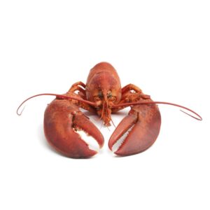 急凍海鮮