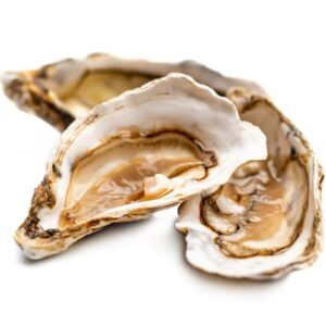 仿鮑片 / 翅 / 海膽 / 蠔
